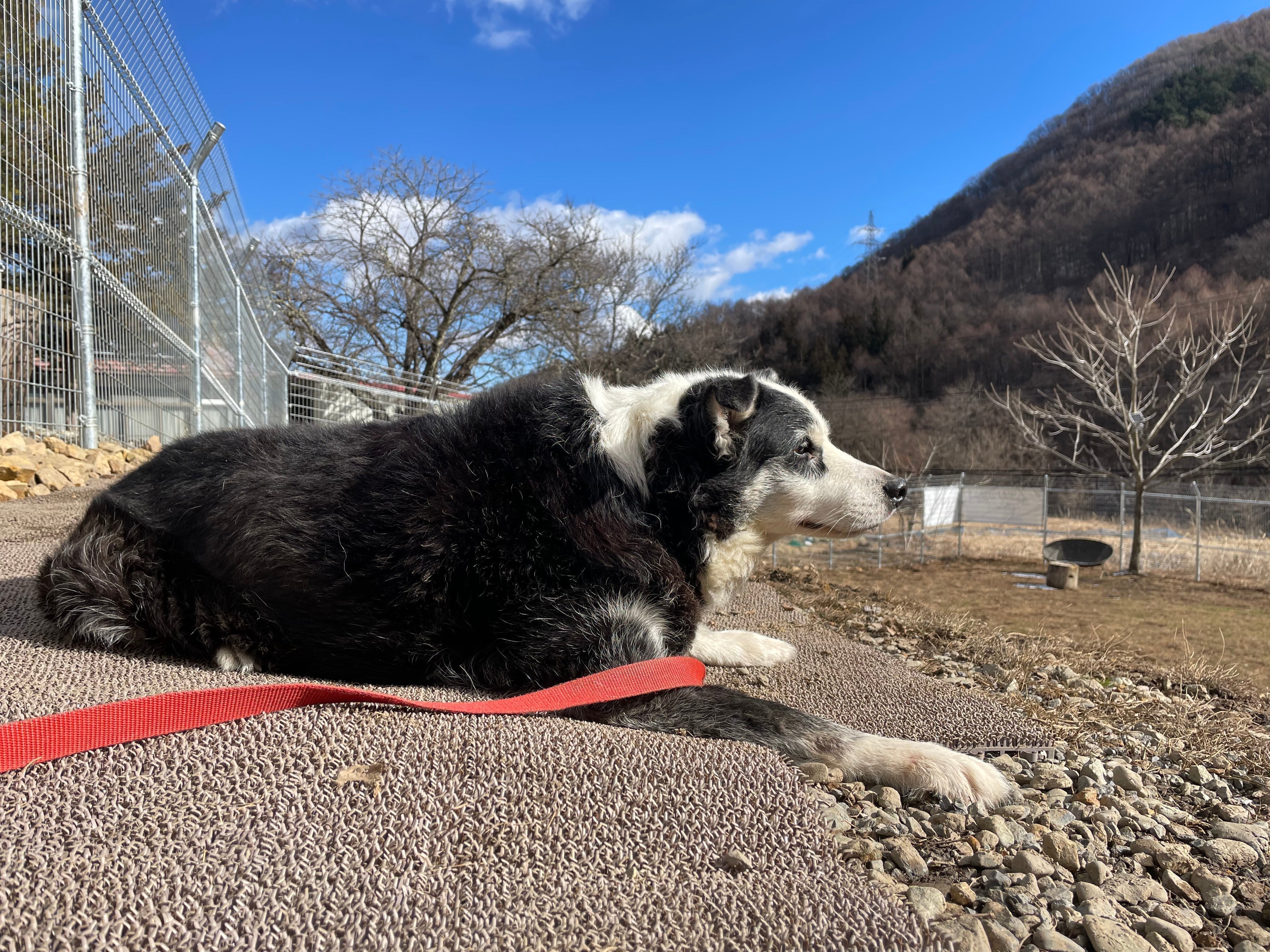 リーオ、ありがとう 〜青森旅(前編)