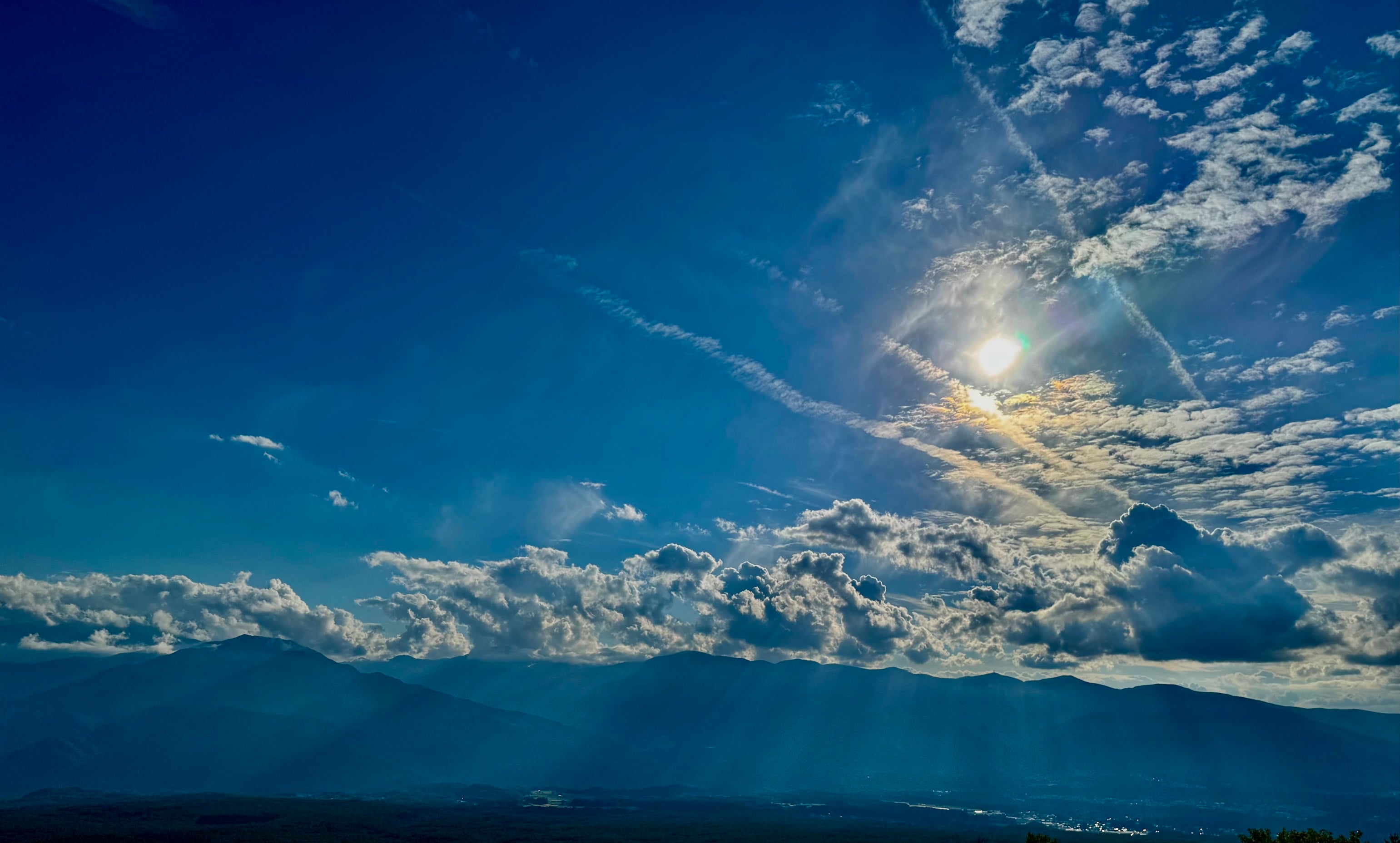 植物の時間で。