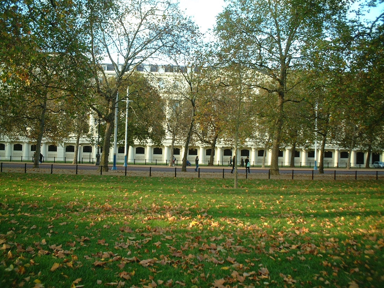 DSCF0398.jpg