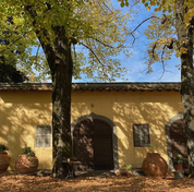 Capezzana - Olio Nuovo (Unfiltered) 2026