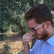 Zahara - Olio Nuovo (Unfiltered) 2026