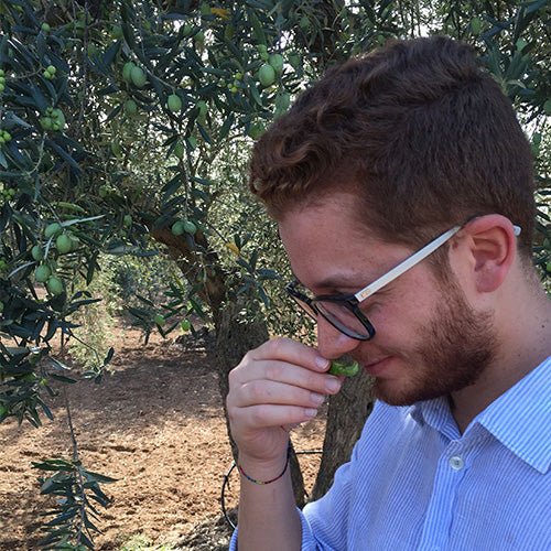 Zahara - Olio Nuovo (Unfiltered) 2026